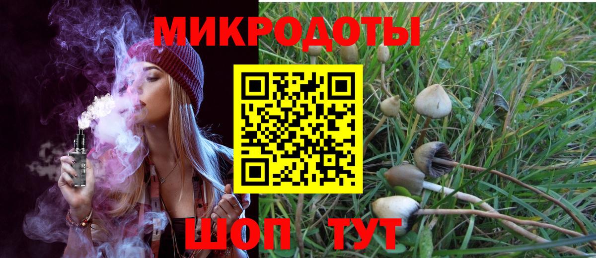 Галлюциногенные грибы Psilocybine cubensis Фрязино